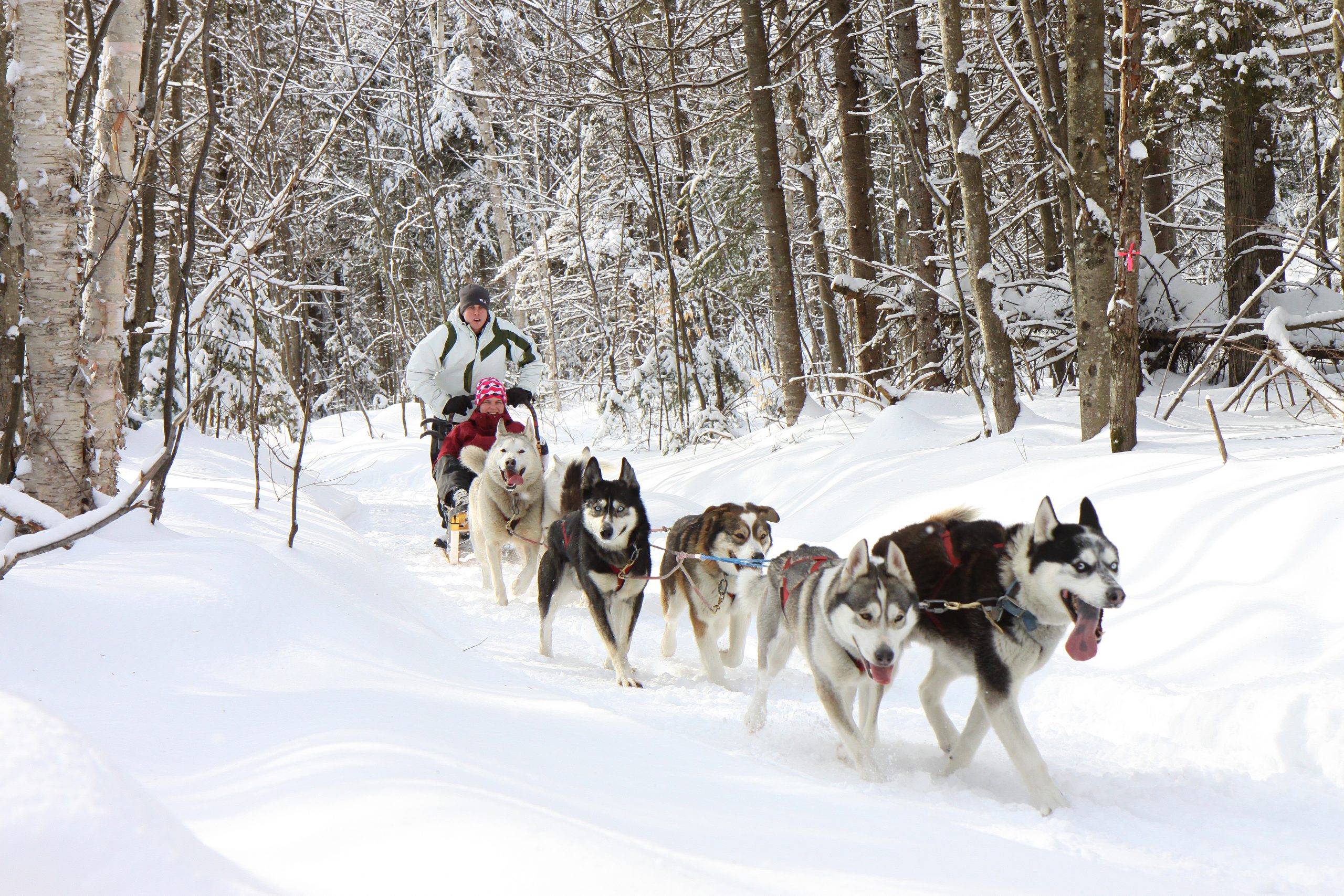forfait-pause-detente